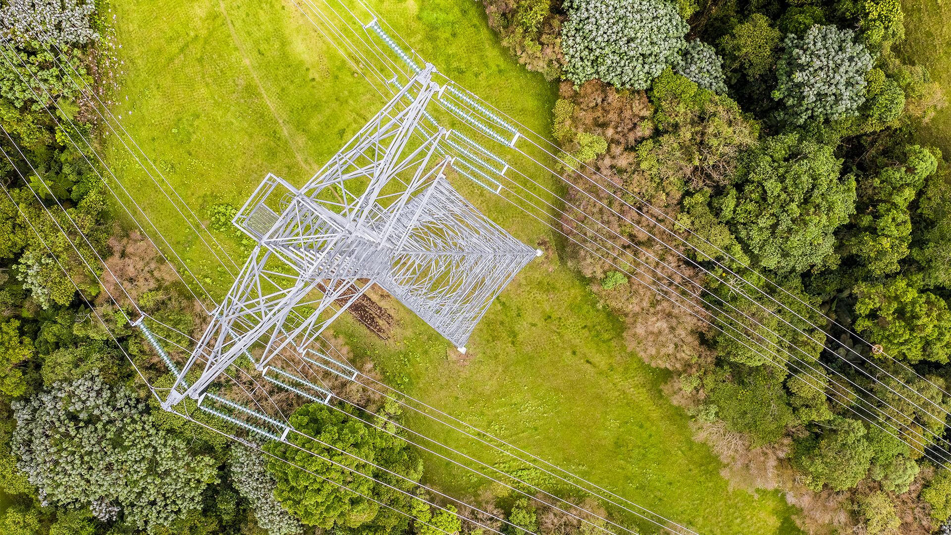 NO USAR, Especial Sostenibilidad, Grupo Energía Bogotá