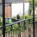 La moto bomba detonó cuando intentaban desactivarla.