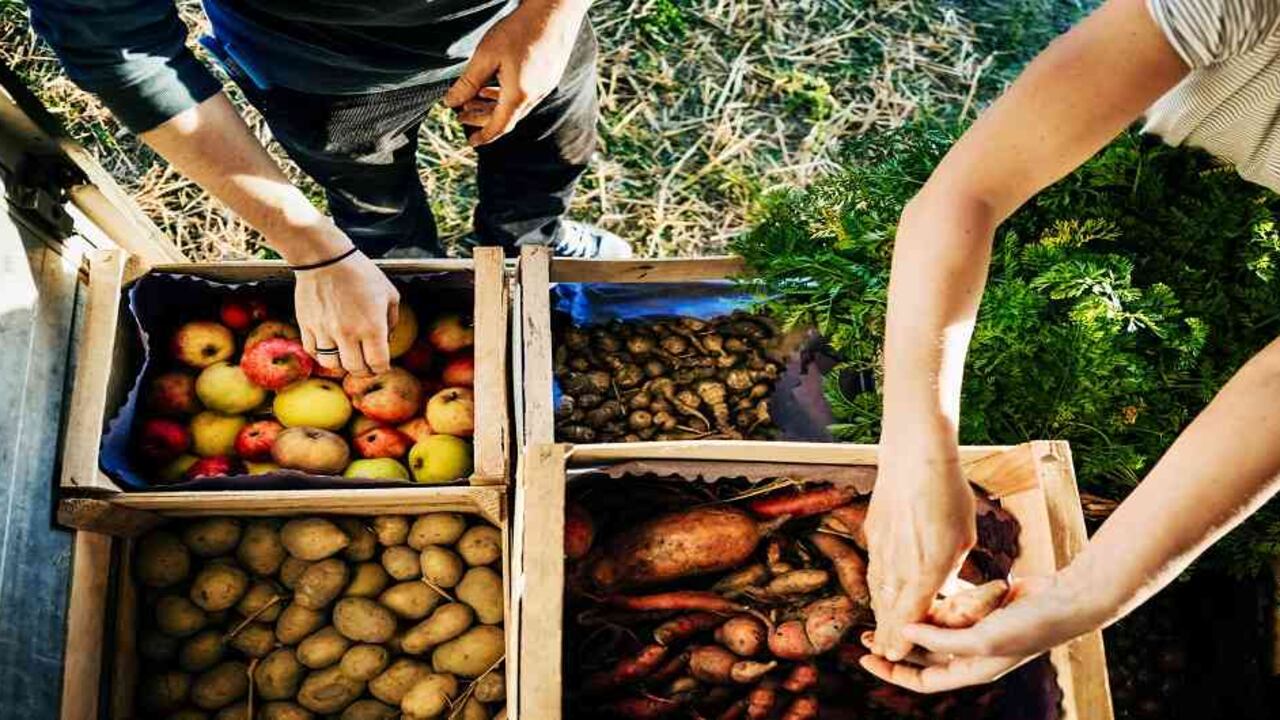 ¿Llegó la hora del IVA a la canasta familiar de Colombia?