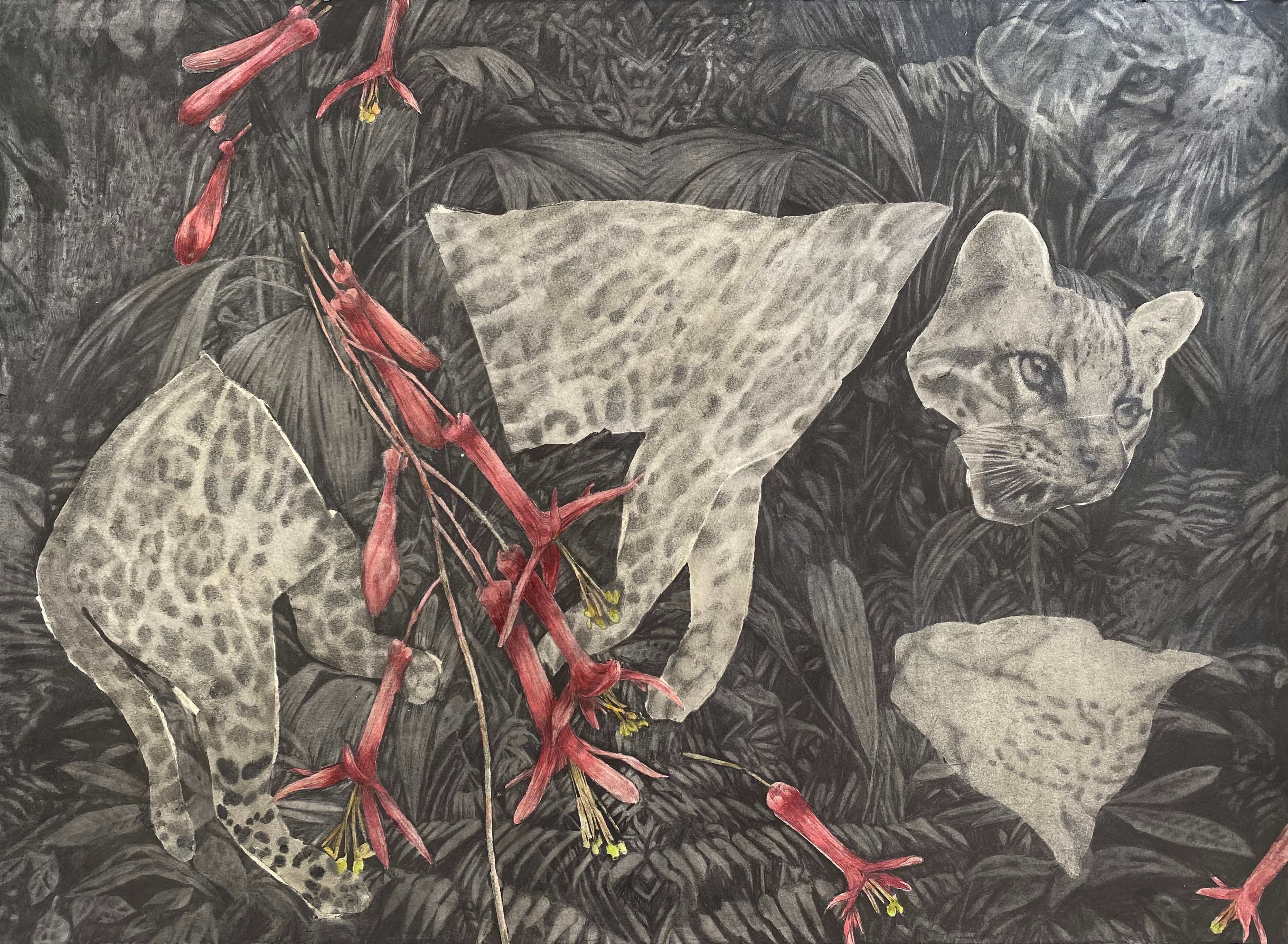 Sara Herrera - Sin título