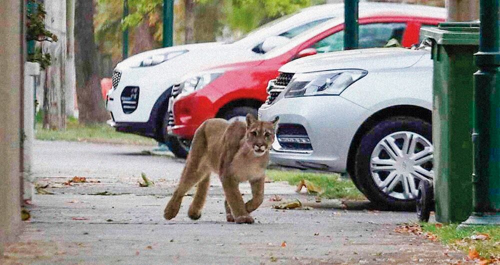 Cuando el mundo respiró_3