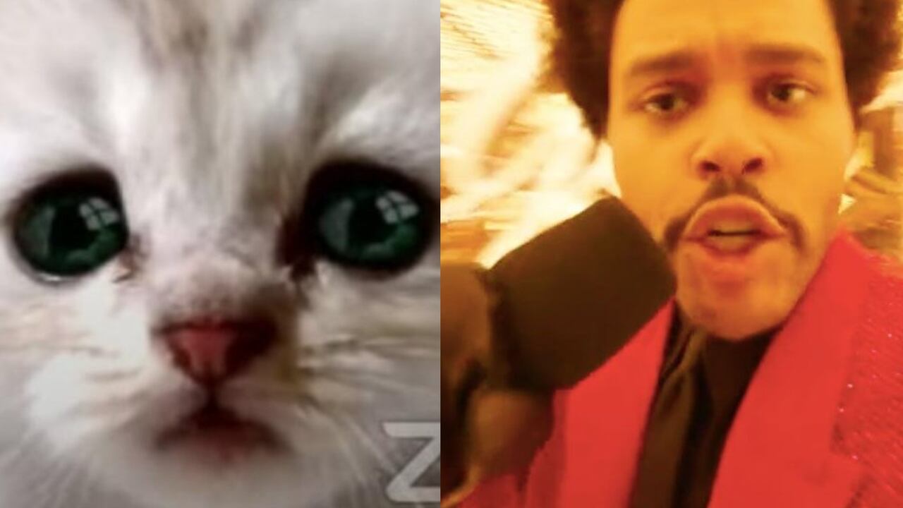 Lo más viral de la semana