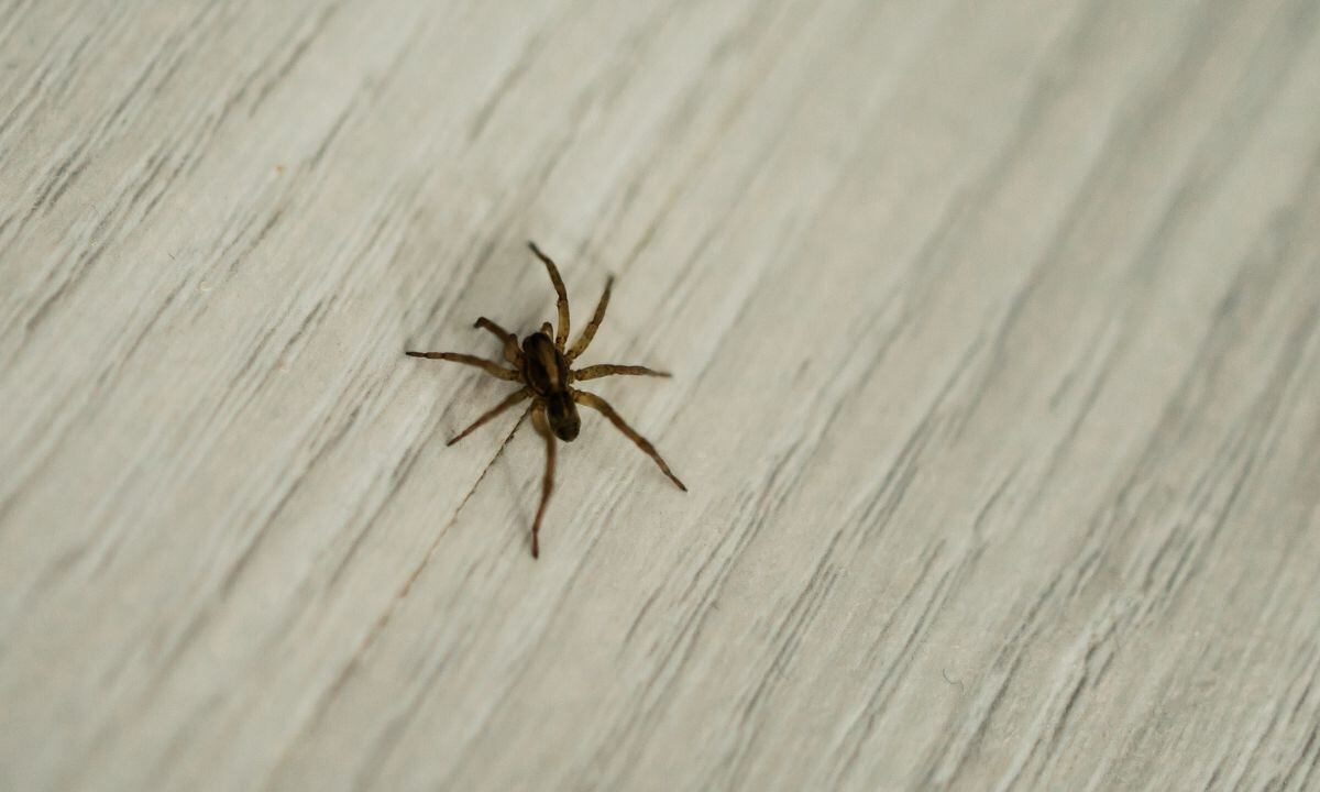 Errores en la cocina.