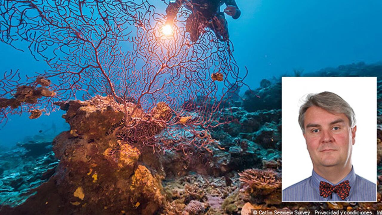 Carl Gustaf Lundin, director del Programa Global Marino y Polar de la UICN.