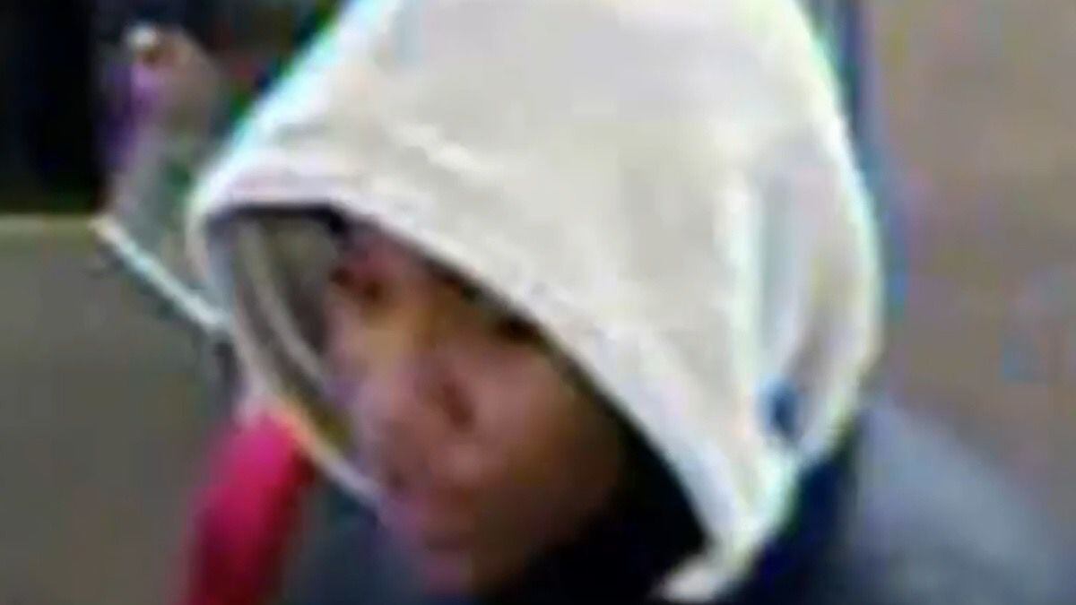 Delincuente, Nueva York