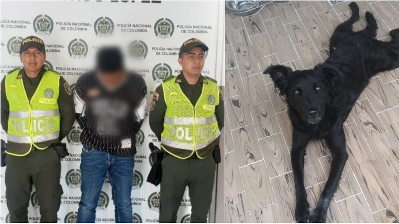 Teddy perdió un pulmón luego de ser apuñalado dos veces.