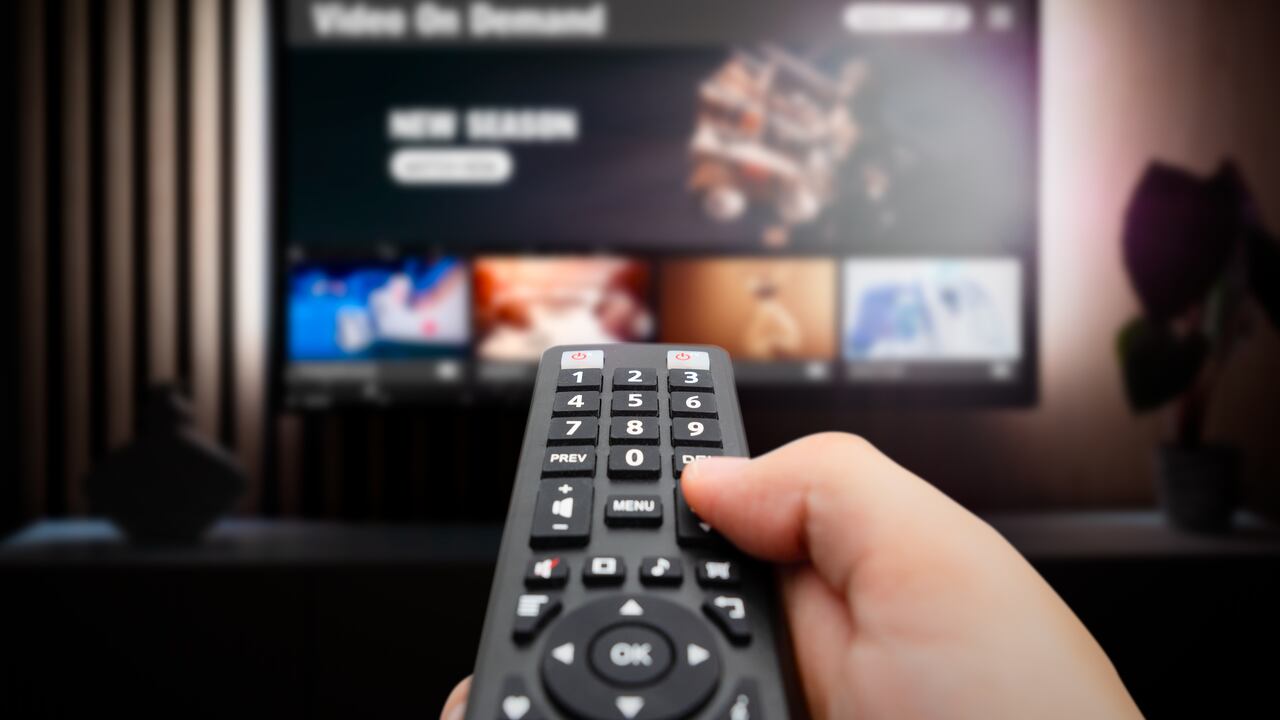 Los usuarios pueden encontrar variedad de contenido en el televisor.