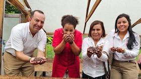 El proyecto Agroemprende Cacao trabaja con 75 familias de la Asociación de Cacaoteros del Perijá (Asocope), en una apuesta por fortalecer la producción y el emprendimiento local