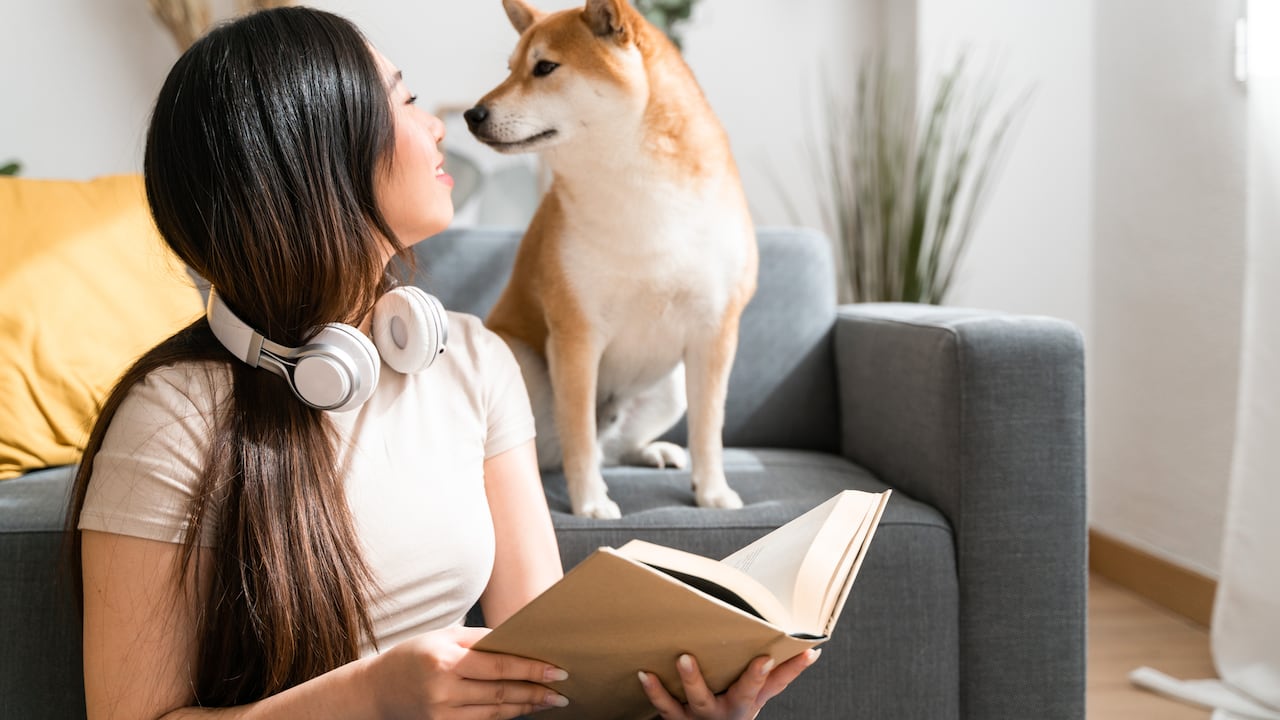 Científicos dicen cuál es la parte del rostro humano que los perros identifican.