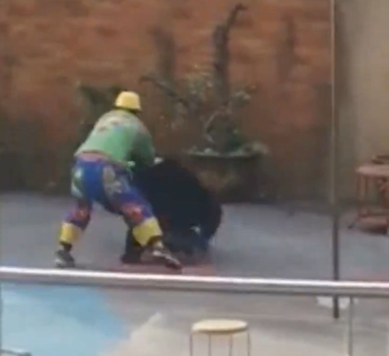 Uno de los artistas intenta sacar a su compañero del lugar mientras es atacado por el oso