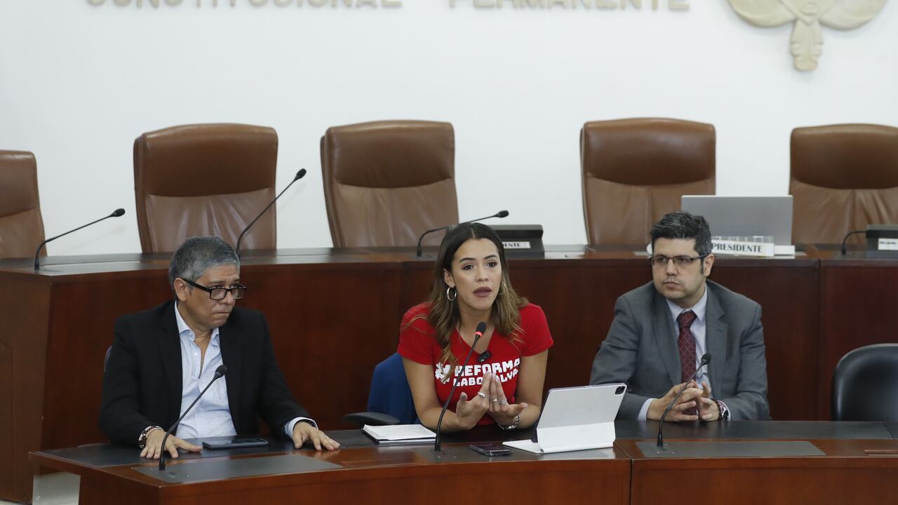 Representante Mafe Carrascal es quien lidera la discusión del proyecto en la Comisión Séptima de la Cámara de Representantes.