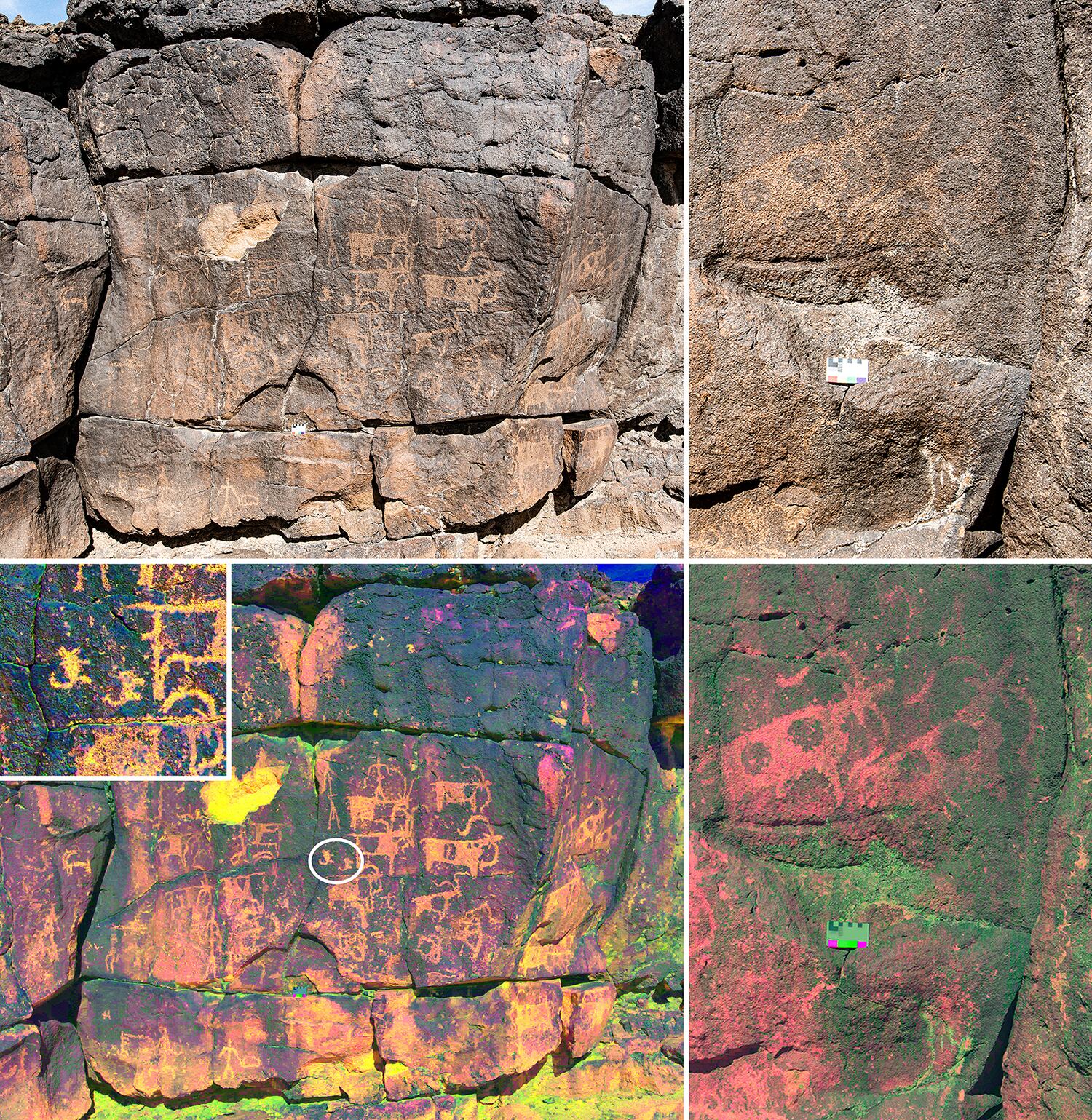 El barniz de los paneles es irregular, con algunas áreas más oscuras debido a la acción del agua sobre la superficie.