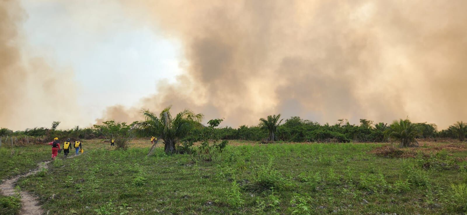 Los Bomberos adelantan labores para controlar las llamas.