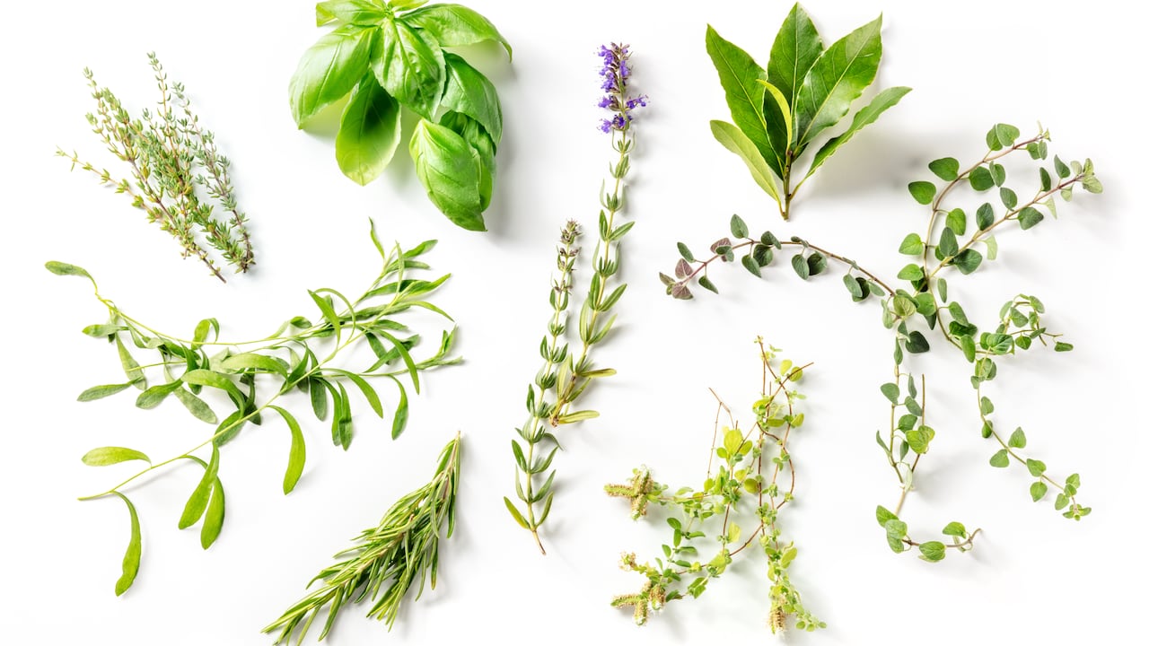 El romero y el laurel tieenen efectos poderosos para aromatizar la casa.