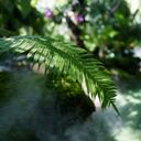 Los bellos paisajes y los bosques de niebla son de los atractivos de Marulanda, en caldas. (Foto de referencia).