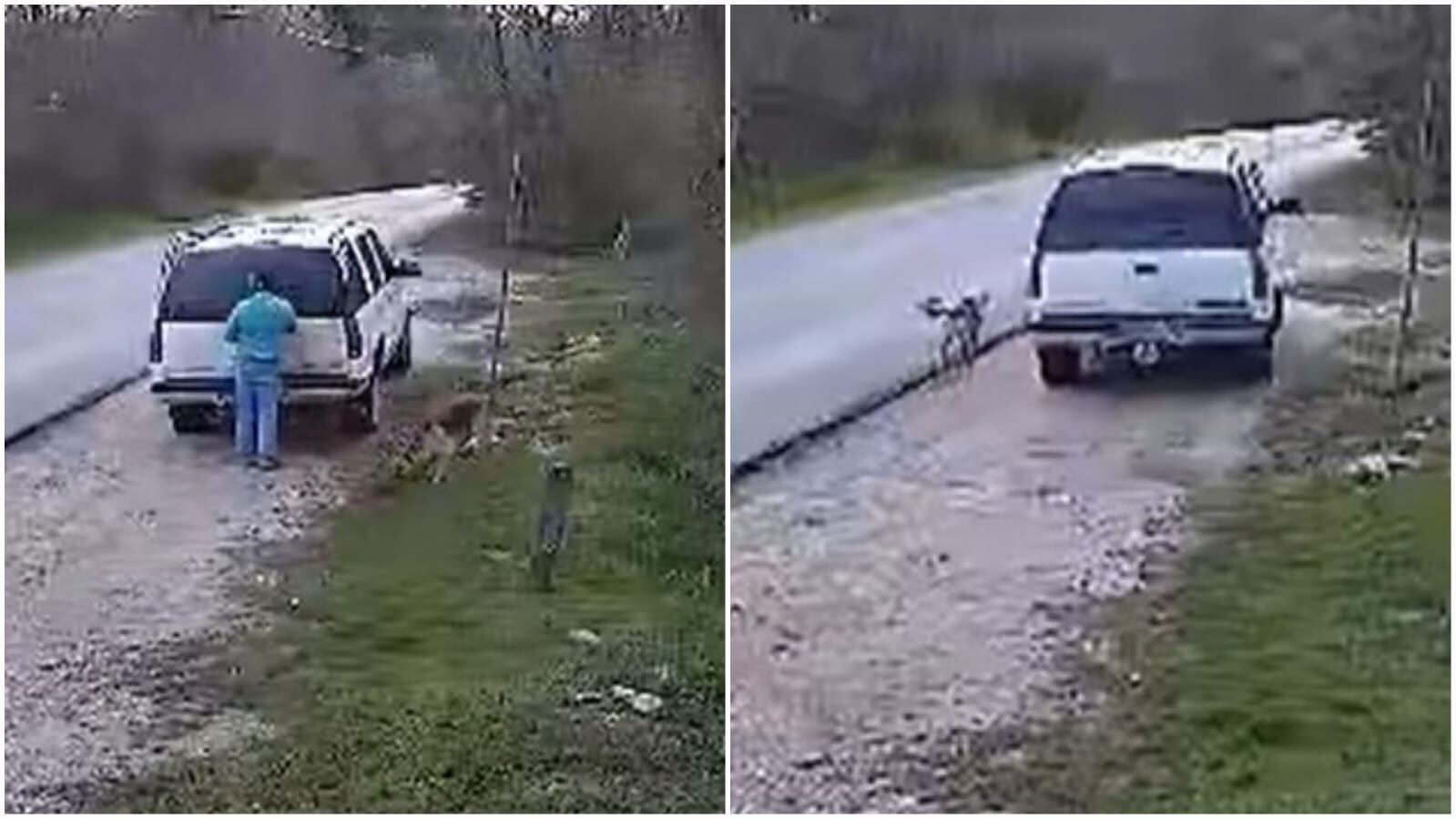 El lugar donde fue abandonado el perro es conocido por ser un "vertedero" de animales.