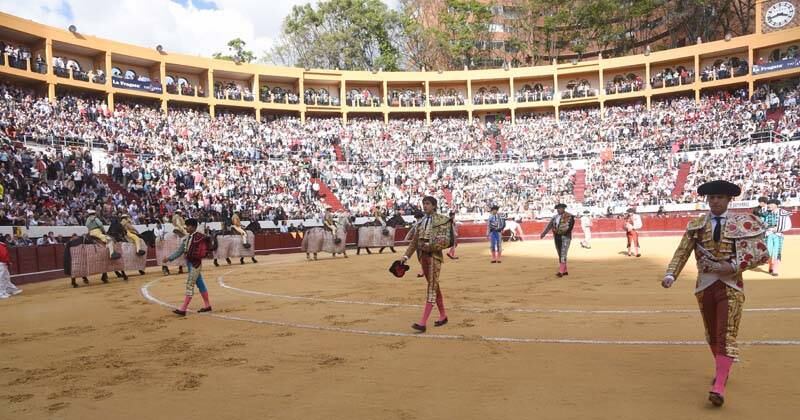 La Corte Constitucional ordenó el regreso de los toros a Bogotá. Foto: Rodrigo Urrego