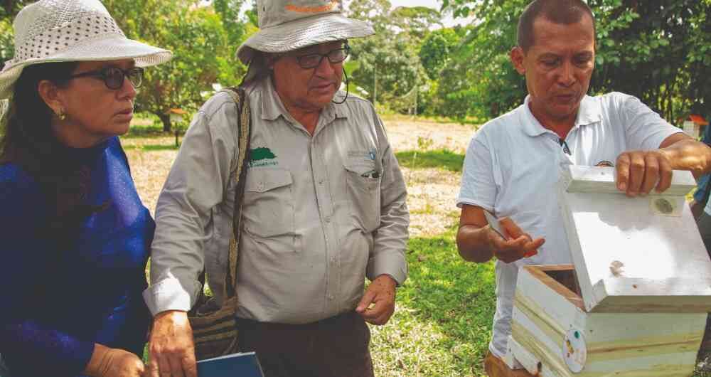Visita meliponario Álvaro Toro y Aura Osorio, Puerto Asís, Putumayo. ©Luis Alejandro Hernandez/Conservación Internacional