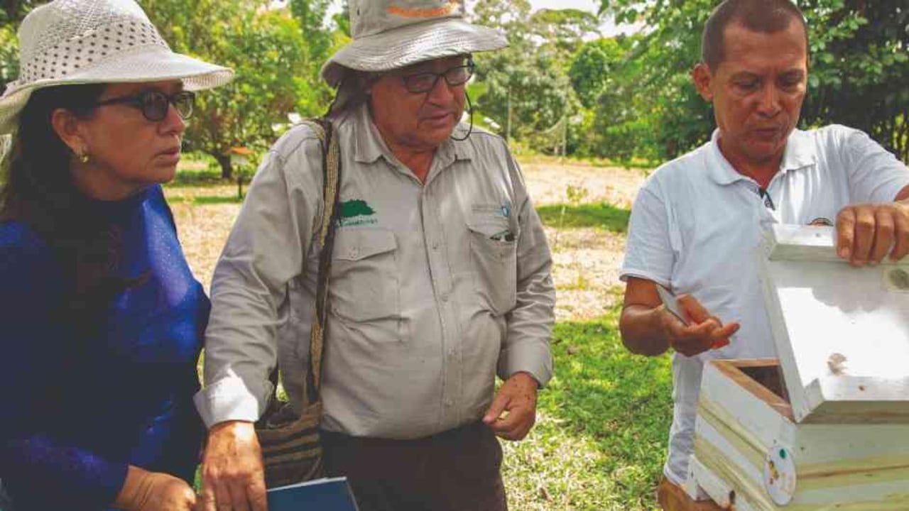 Visita meliponario Álvaro Toro y Aura Osorio, Puerto Asís, Putumayo. ©Luis Alejandro Hernandez/Conservación Internacional