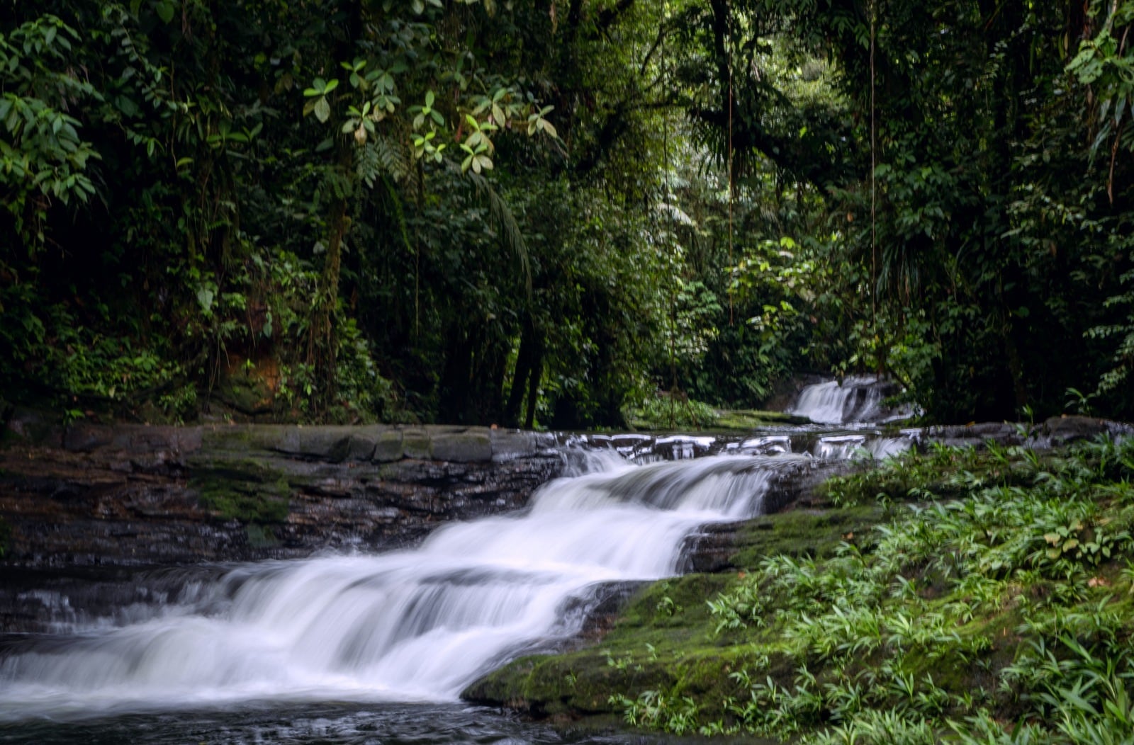 Las CAR han liderado procesos de ordenación en 132 cuencas hidrográficas, cubriendo más de 29.4 millones de hectáreas.