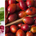 El rábano y el tomate de árbol contienen nutrientes y vitaminas que aportan beneficios al organismo. Foto: montaje SEMANA.