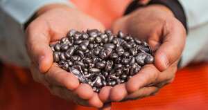 El 93 por ciento de la producción mundial de níquel proviene de tan solo 14 países, Colombia es uno de ellos.