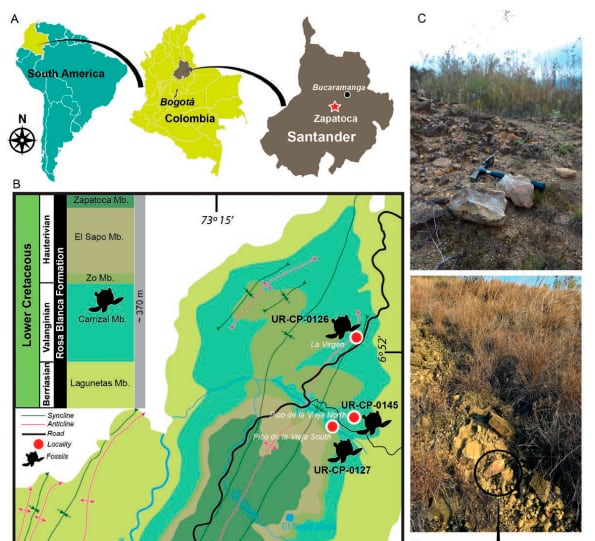 El hallazgo se dio en la vereda Carrizal, en el municipio de Zapatoca.