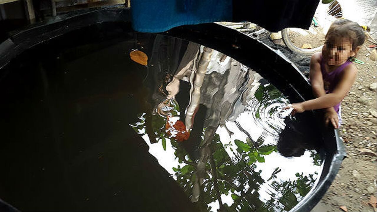 La personas menos favorecidas, llenan de aguas lluvia los baldes que tienen en los patios de sus casas.