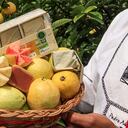 En la foto se ve el tradicional bocadillo veleño y la variedad guayabas (roja y blanca) con las que se hace.
