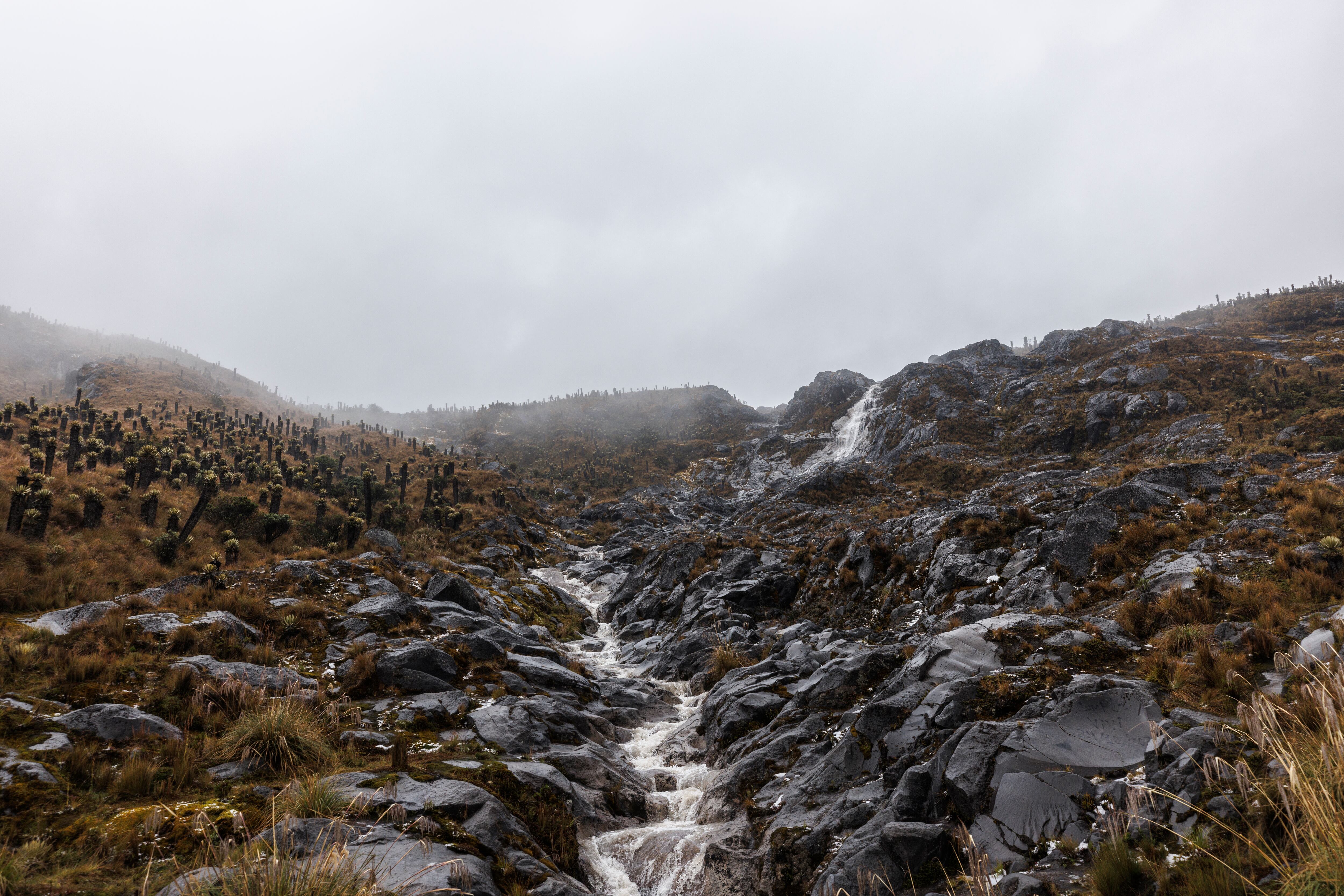 El Tolima se proyecta como un destino que integra música, tradición y paisajes naturales como el cañón del Combeima.