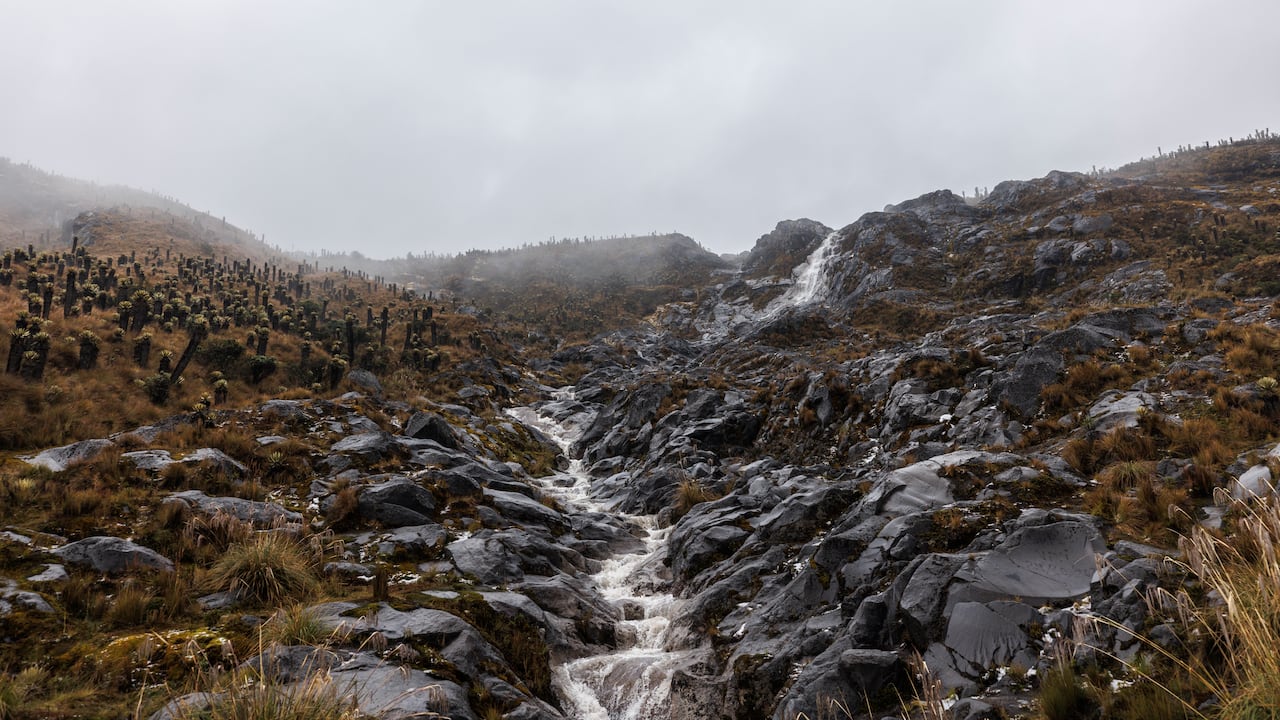 El Tolima se proyecta como un destino que integra música, tradición y paisajes naturales como el cañón del Combeima.