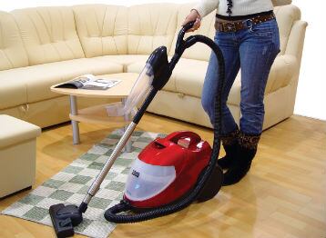 Agregue las hojas de laurel a la bolsa de la aspiradora 