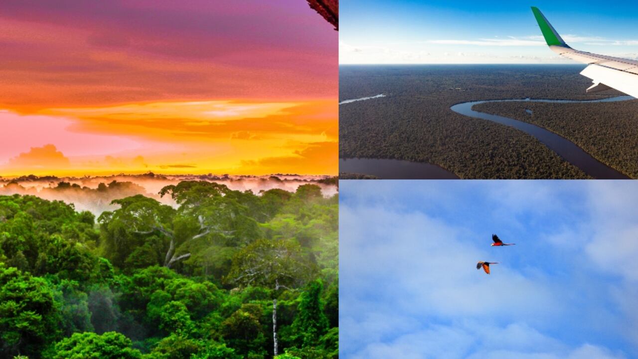 La Amazonia es un lugar donde los turistas buscan tener contacto directo con la naturaleza