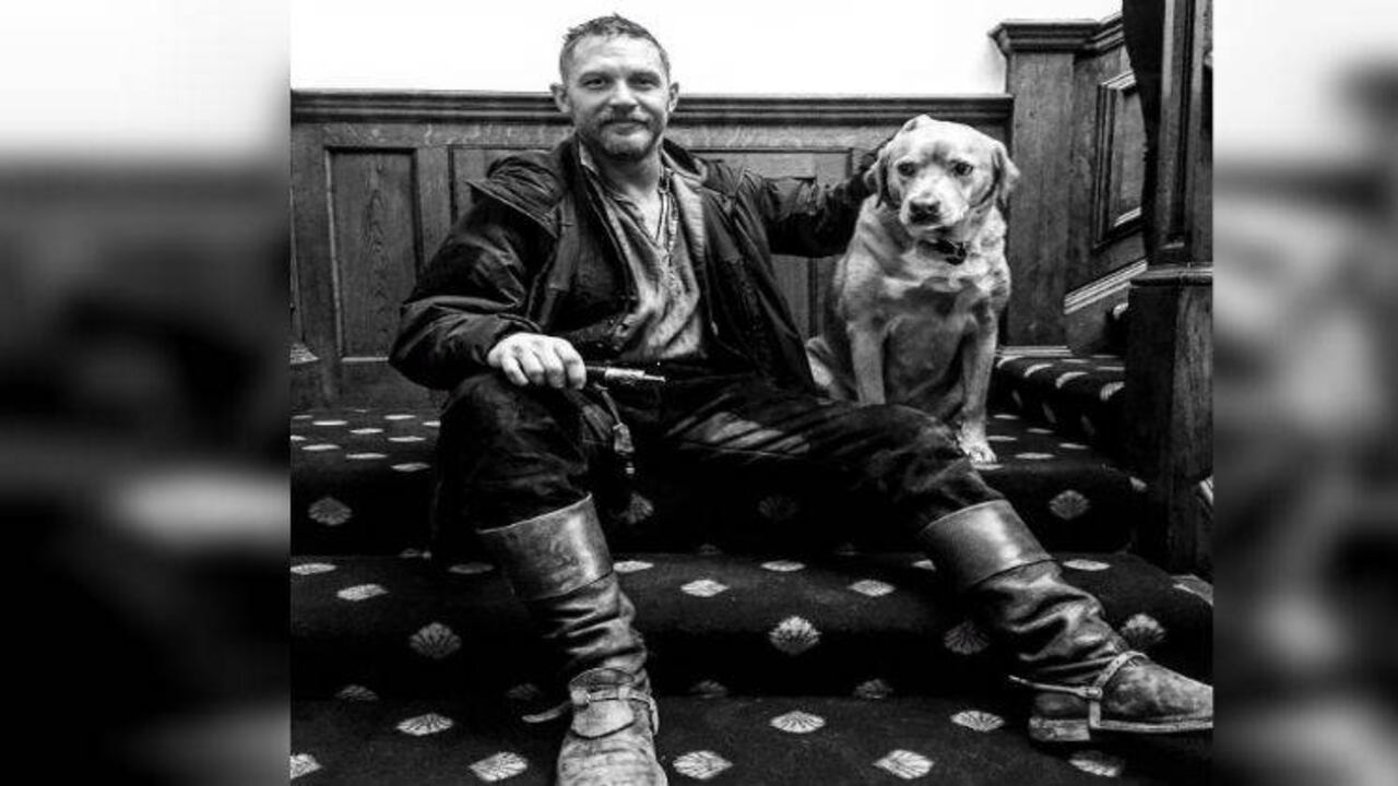 Tumblr tomhardydotorg