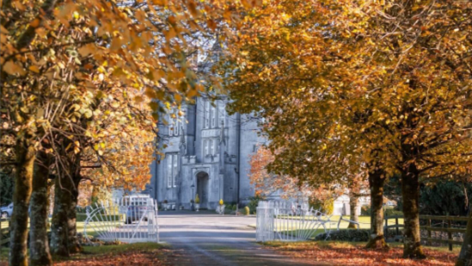 Castillo Kinnity, Irlanda