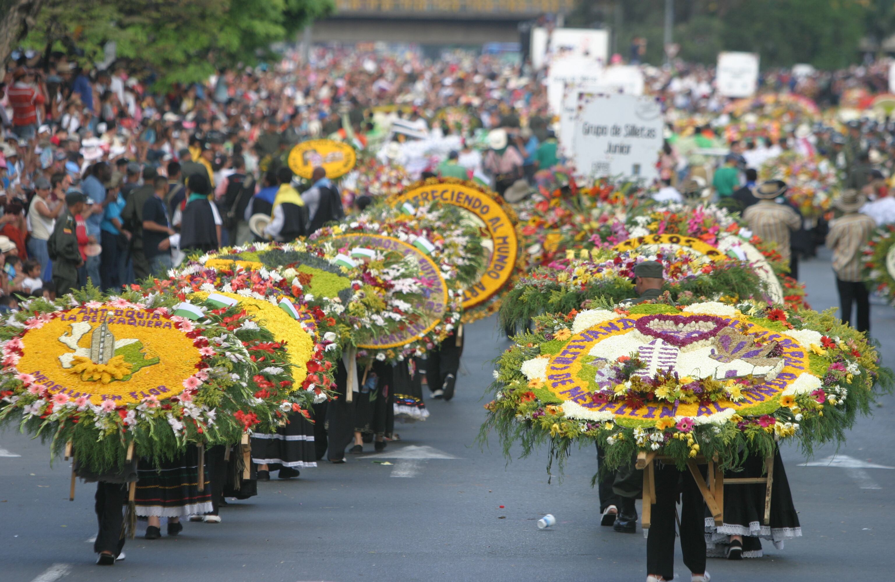 Existen cinco categorías de silleta: Tradicional, que lleva los ‘manojos’ de flores que se veían hace unos años en Medellín; Monumental, que requiere de gran variedad de flores y son las obras de gran volumen; Emblemática, que implica un trabajo ordenado flor por flor para lograr escudos, banderas y otras insignias; Tridimensional, en la que se usan flores de distintos tamaños para lograr relieves. Foto: Cortesía Natalia Botero Duque.