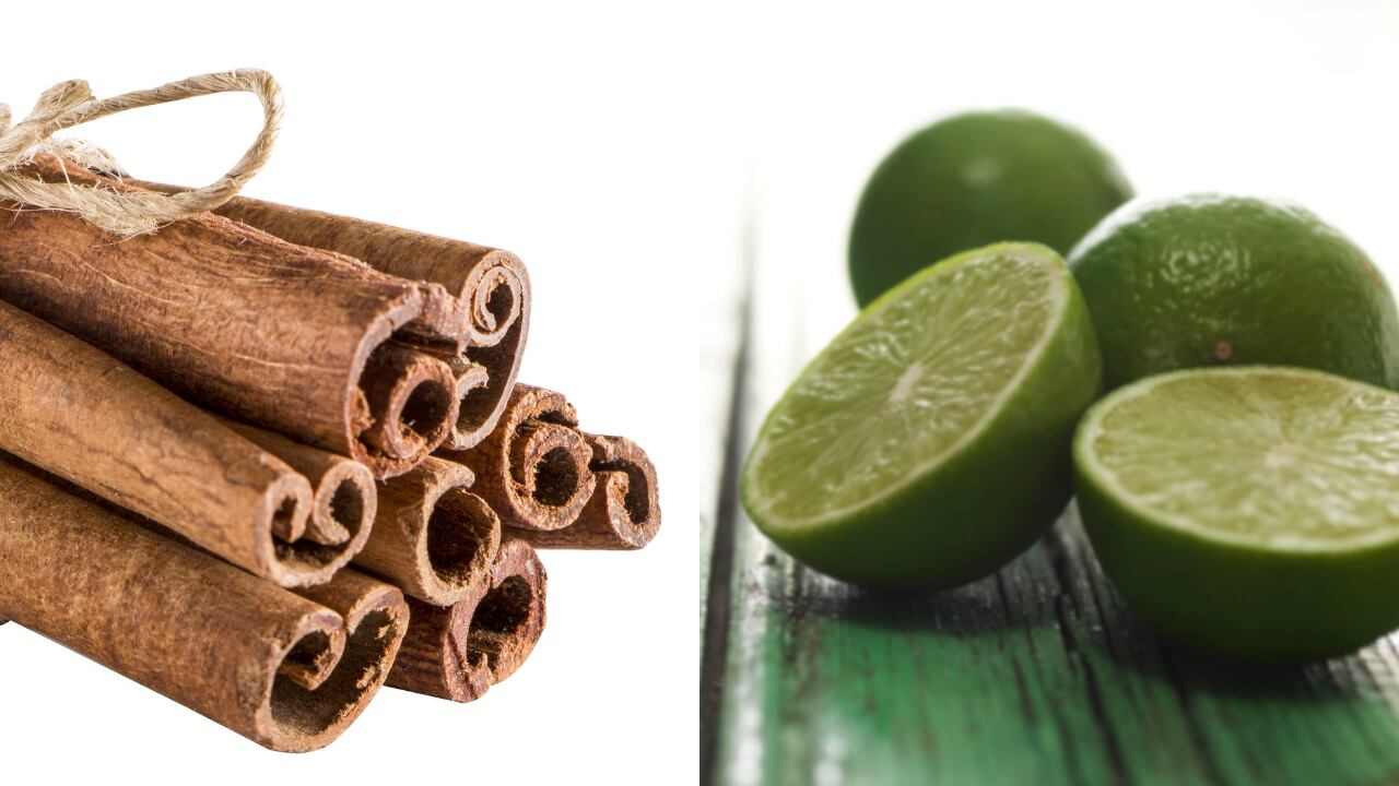 La combinación de estos dos ingredientes trae grandes beneficios para el organismo.