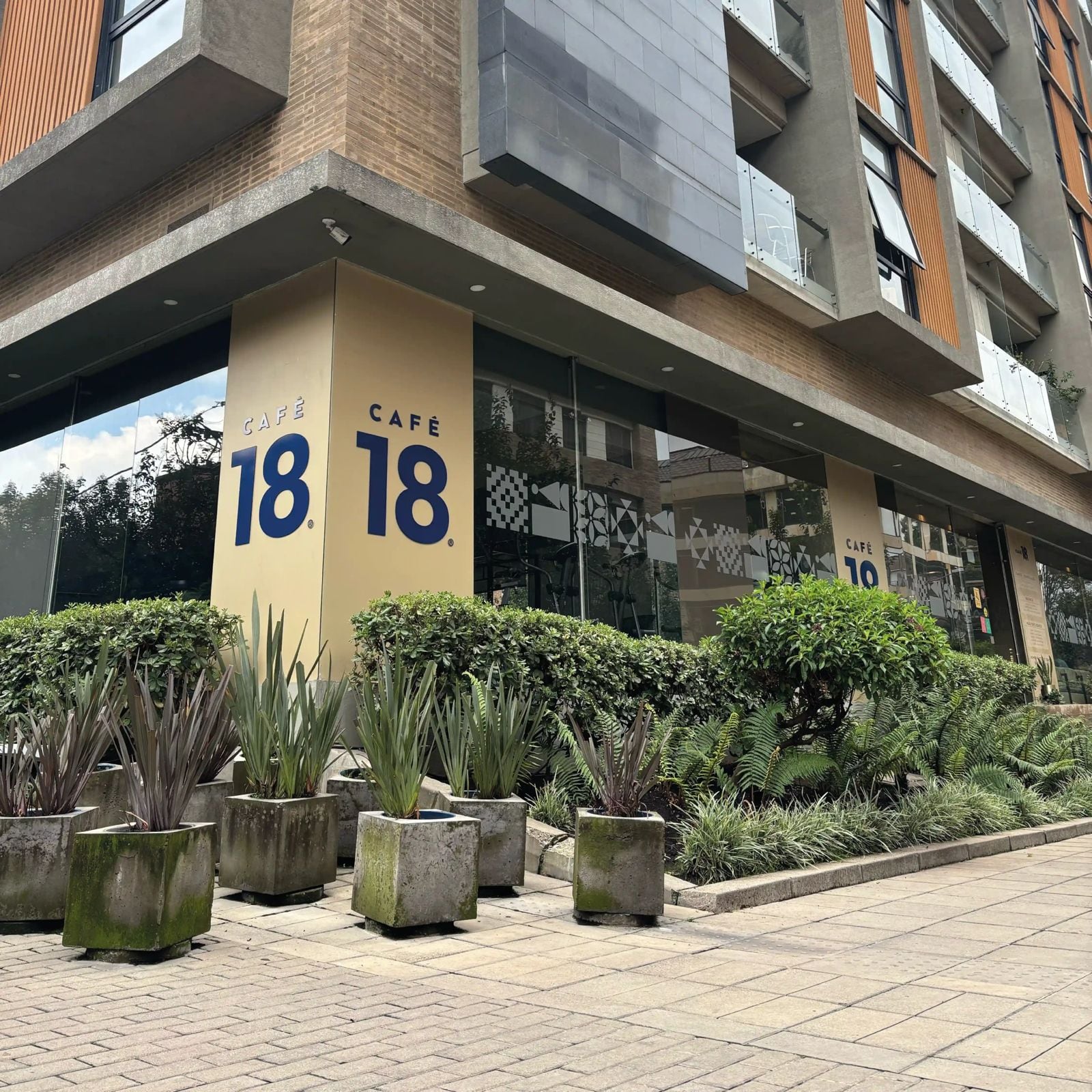 Café 18, comprador del café más caro en la subasta de cafés especiales.