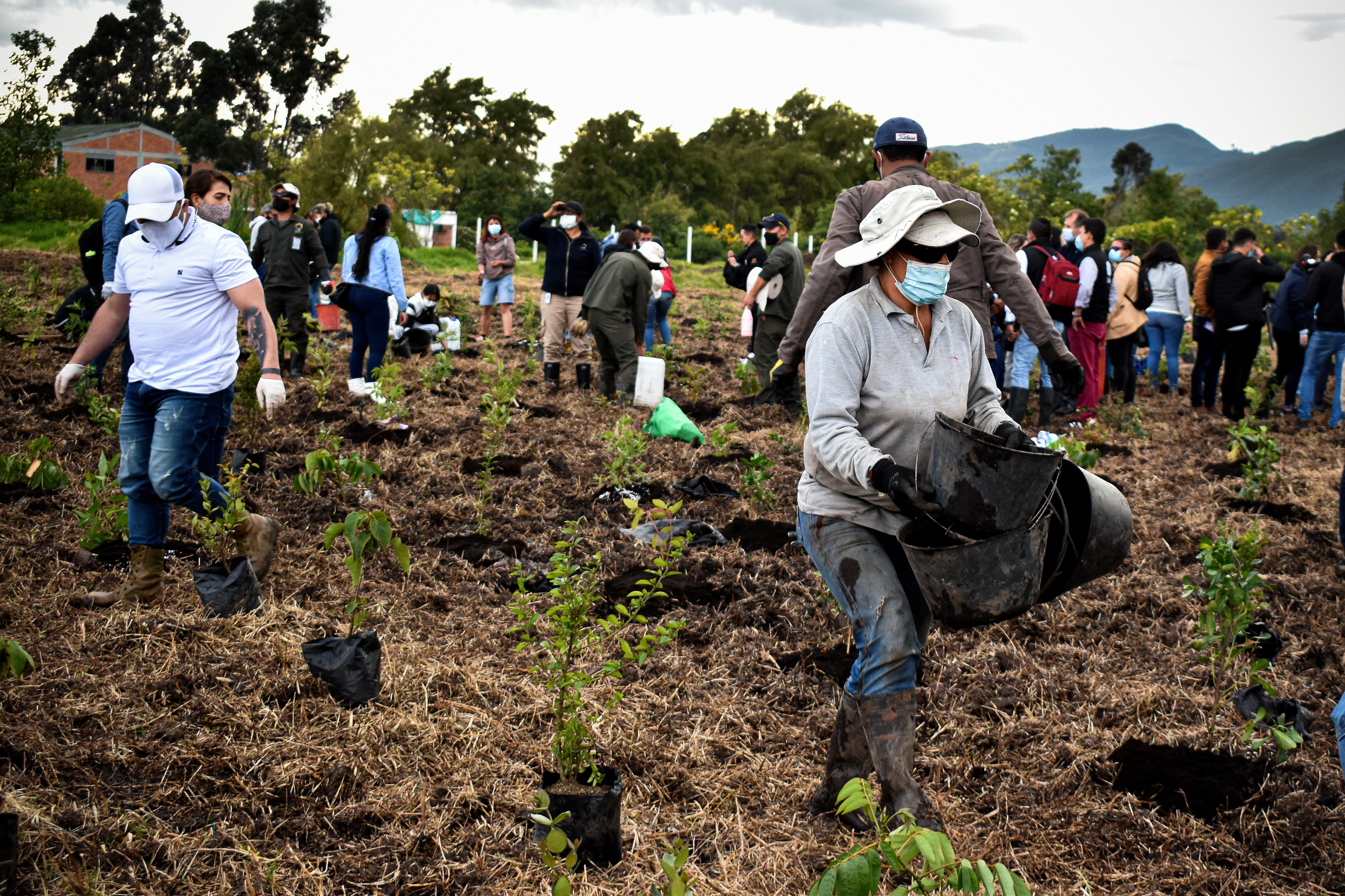 BOSQUE LA ESPERANZA