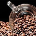 Los granos de café son las semillas de la planta Coffea, y es en esta forma en la que se encuentran originalmente dentro de los frutos rojos llamados cerezas de café.