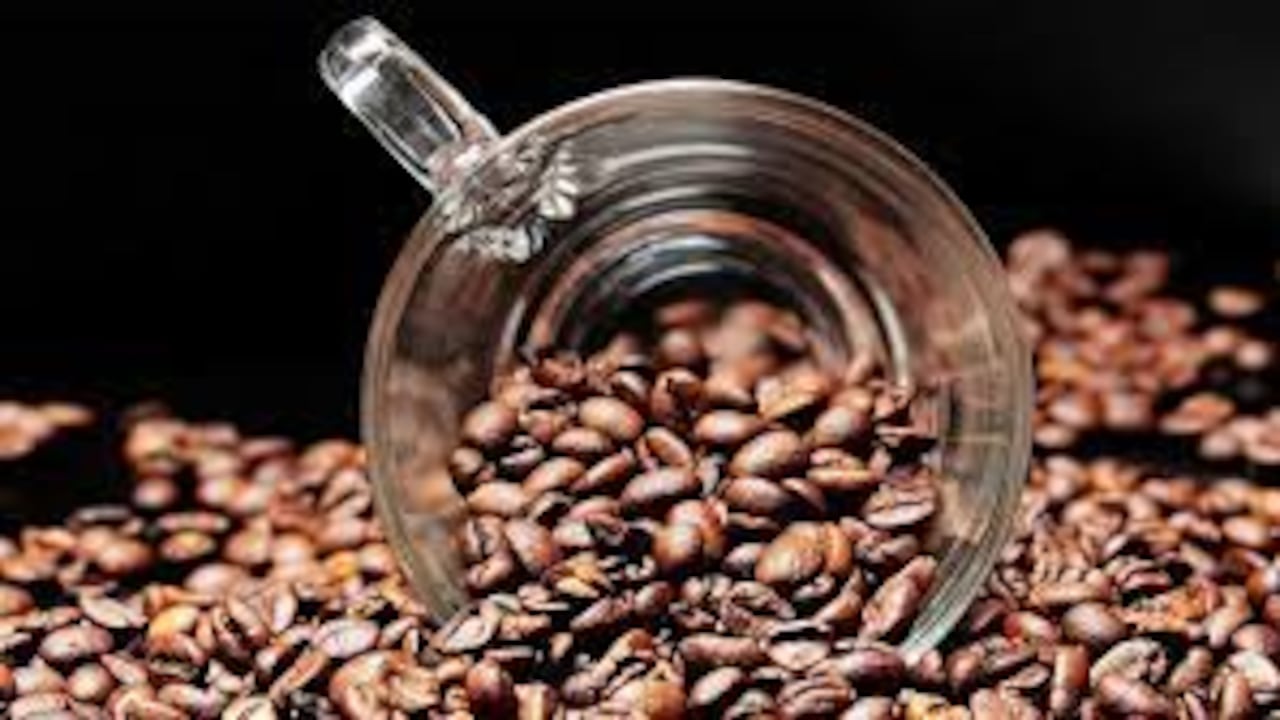 ¿Puedo llevar café en grano en un avión a Estados Unidos?