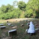 En el cementerio existen diferentes puntos de interés forense.