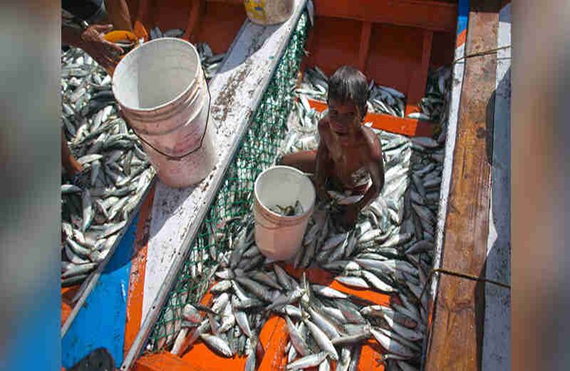 Fotografía vía AP Photo/ Ariana Cubillos