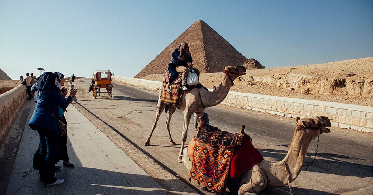 Turismo en camellos en Egipto