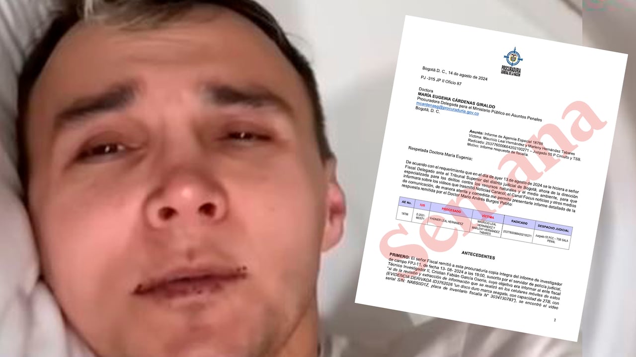 Mauricio Leal, documento Fiscalía