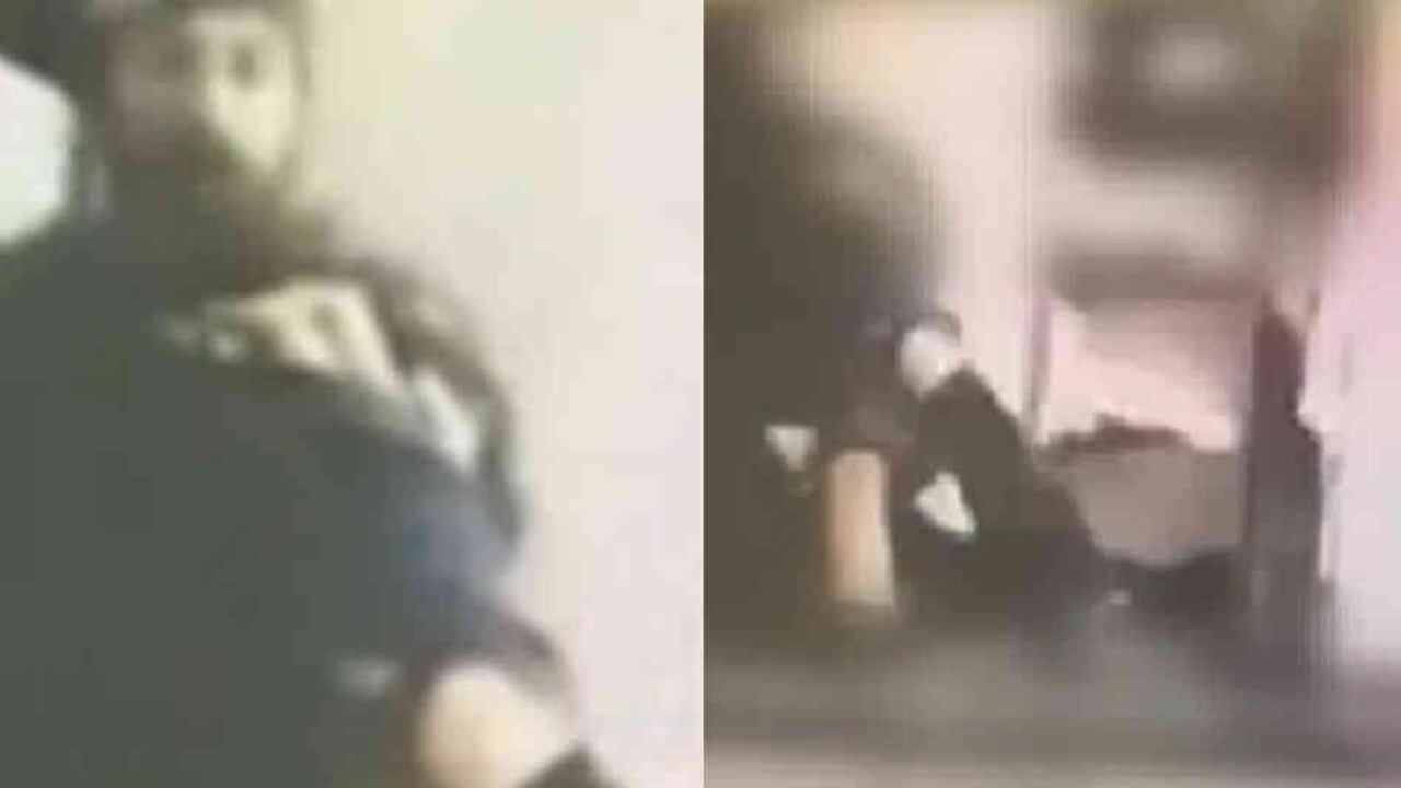 Robo queda grabado en plena clase virtual vía Zoom.