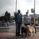 Luisa y Mauricio coinciden en que es gracias a sus perras que pueden tener una mejor calidad de vida por la autonomía que les proporcionan en la calle.