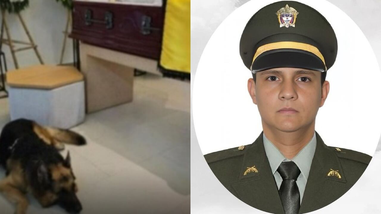 Fredy Francisco Leal Briceño murió tras recibir un disparo