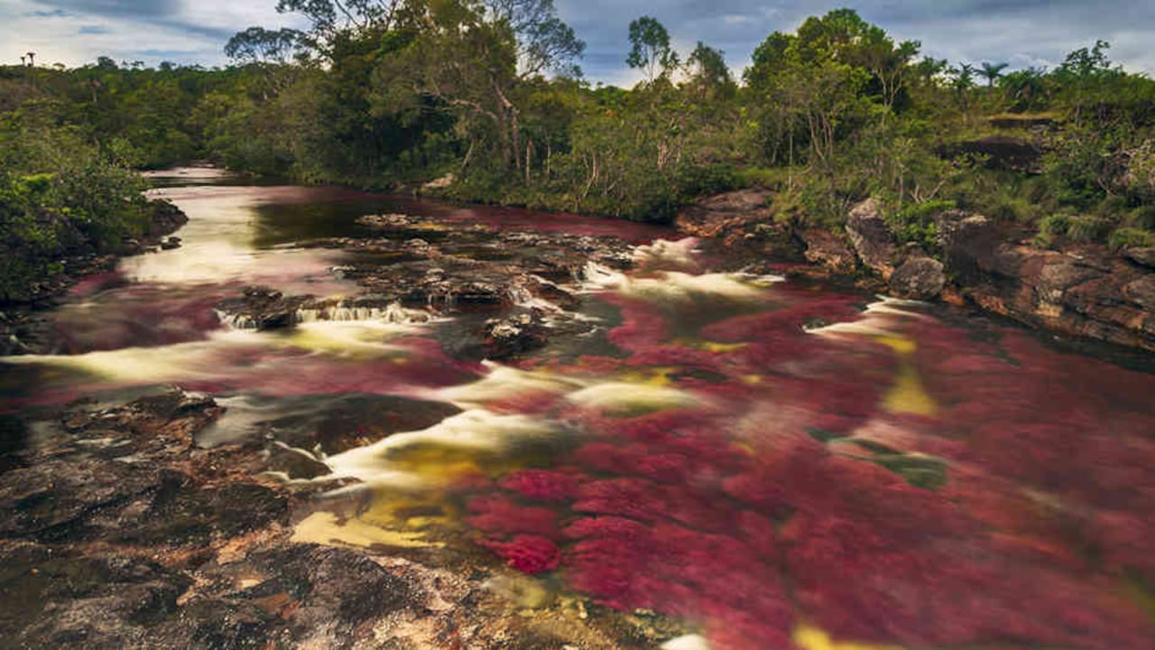 Unesco declaró en 2001 la diversidad cultural como Patrimonio de la Humanidad, como “una de las fuentes del desarrollo, entendido no solamente en términos de crecimiento económico, sino también como medio de acceso a una existencia intelectual, afectiva, moral y espiritual satisfactoria”. | Todas las fotos cortesía de The Nature Conservancy.
