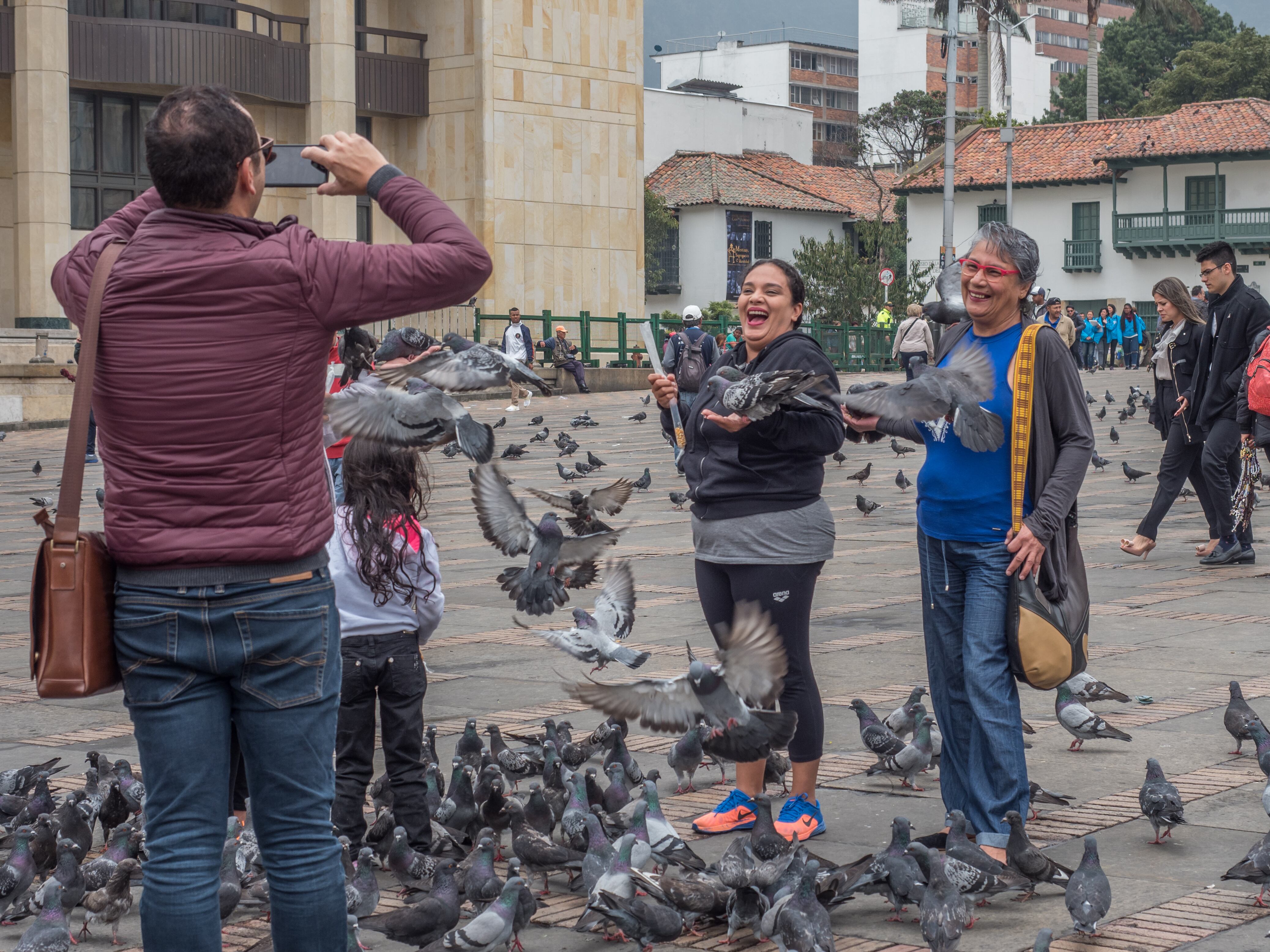 Palomas y turistas en la Plaza Bolívar en Bogotá